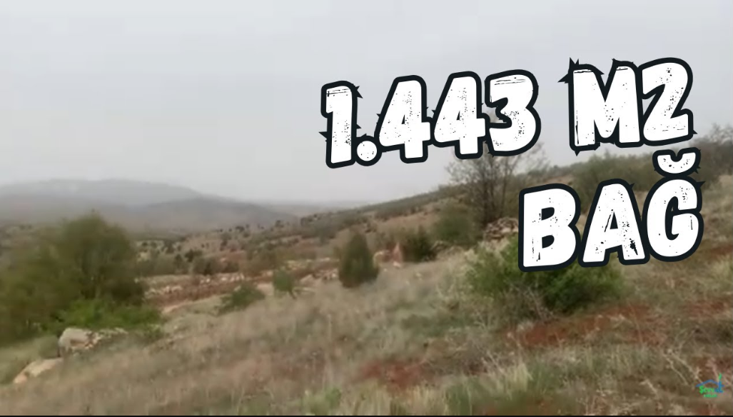 KONYA BOZKIR HAMZALAR KÖYÜNDE 1.443 M2 BAĞ SATILIKTIR. - KONYA BOZKIR fotoğraf 12